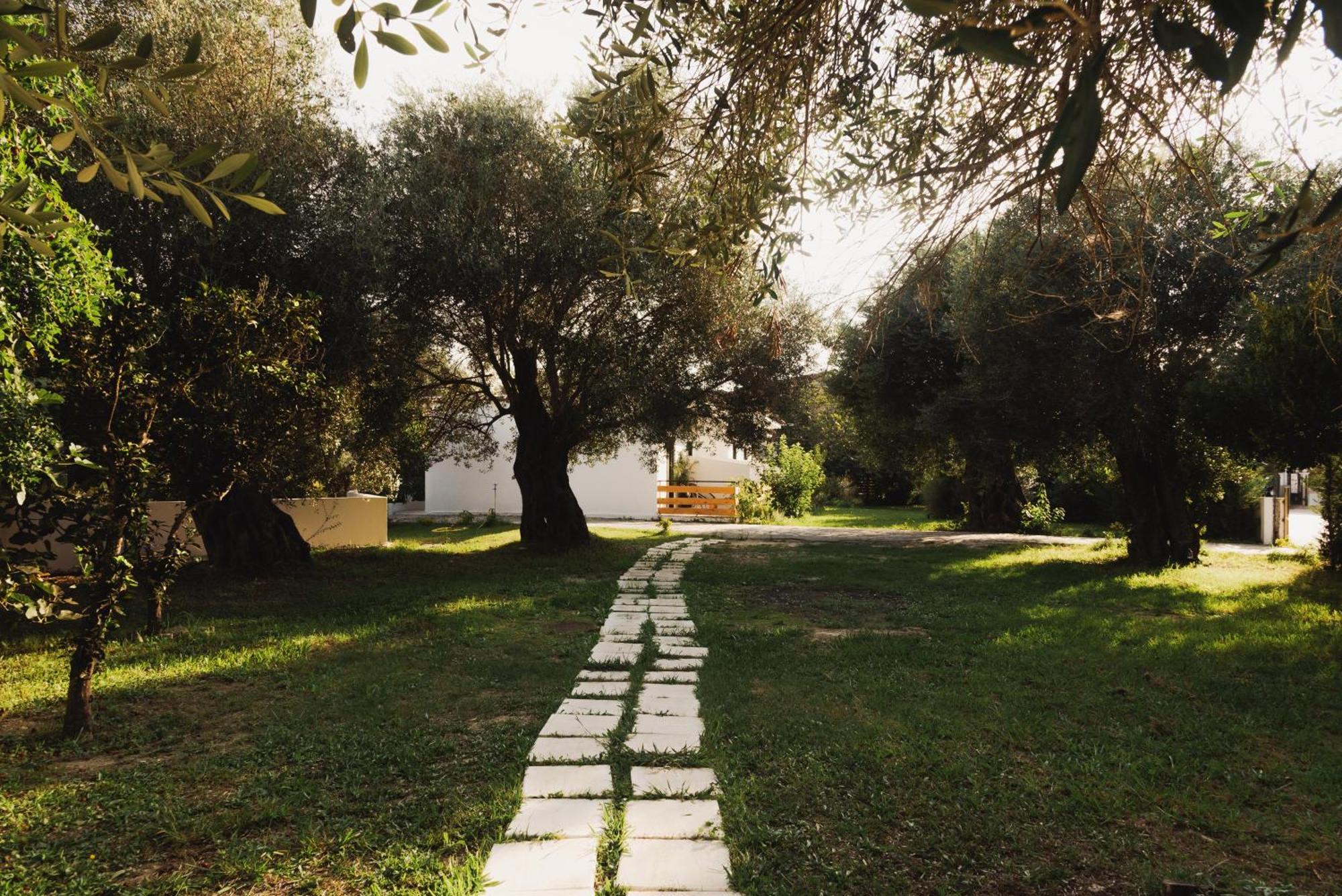 Olive Grove Suites Boutique Hotel Moraitika Exterior photo